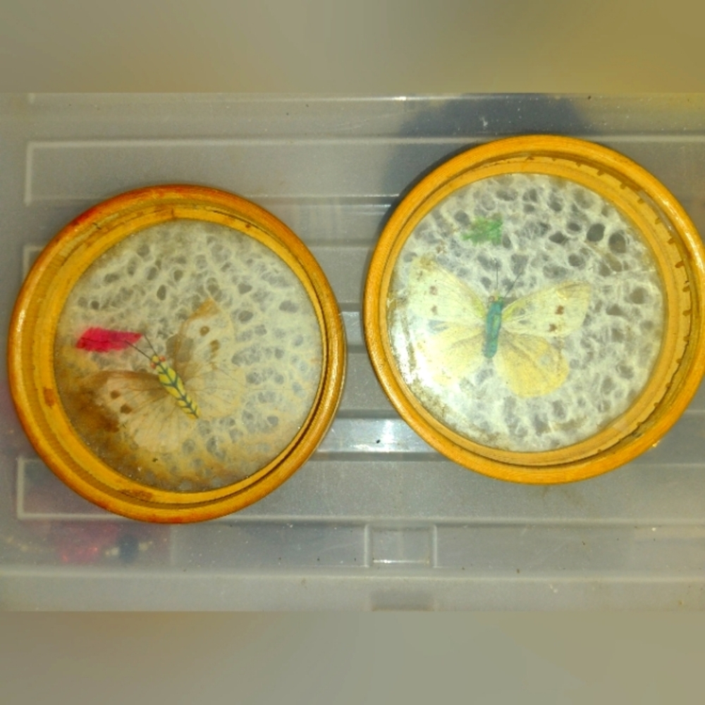 Butterfly Coasters - Set of 2 - Bamboo & Glass